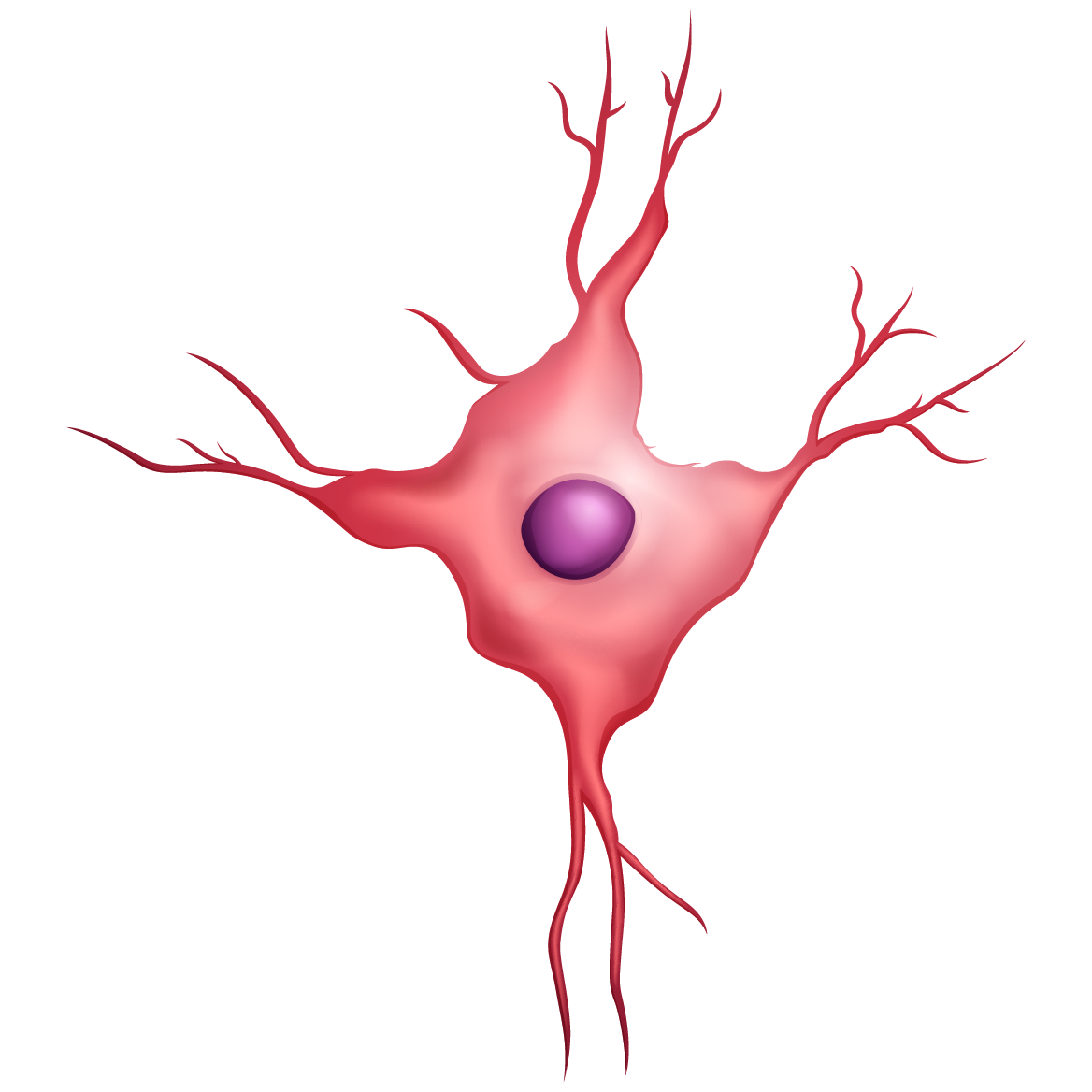 神经元细胞素材-神经元细胞图片-神经元细胞素材图片下载-觅知网