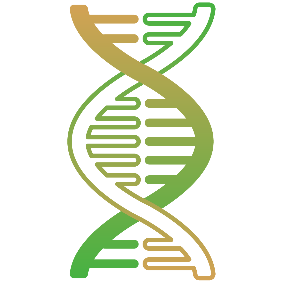 DNA