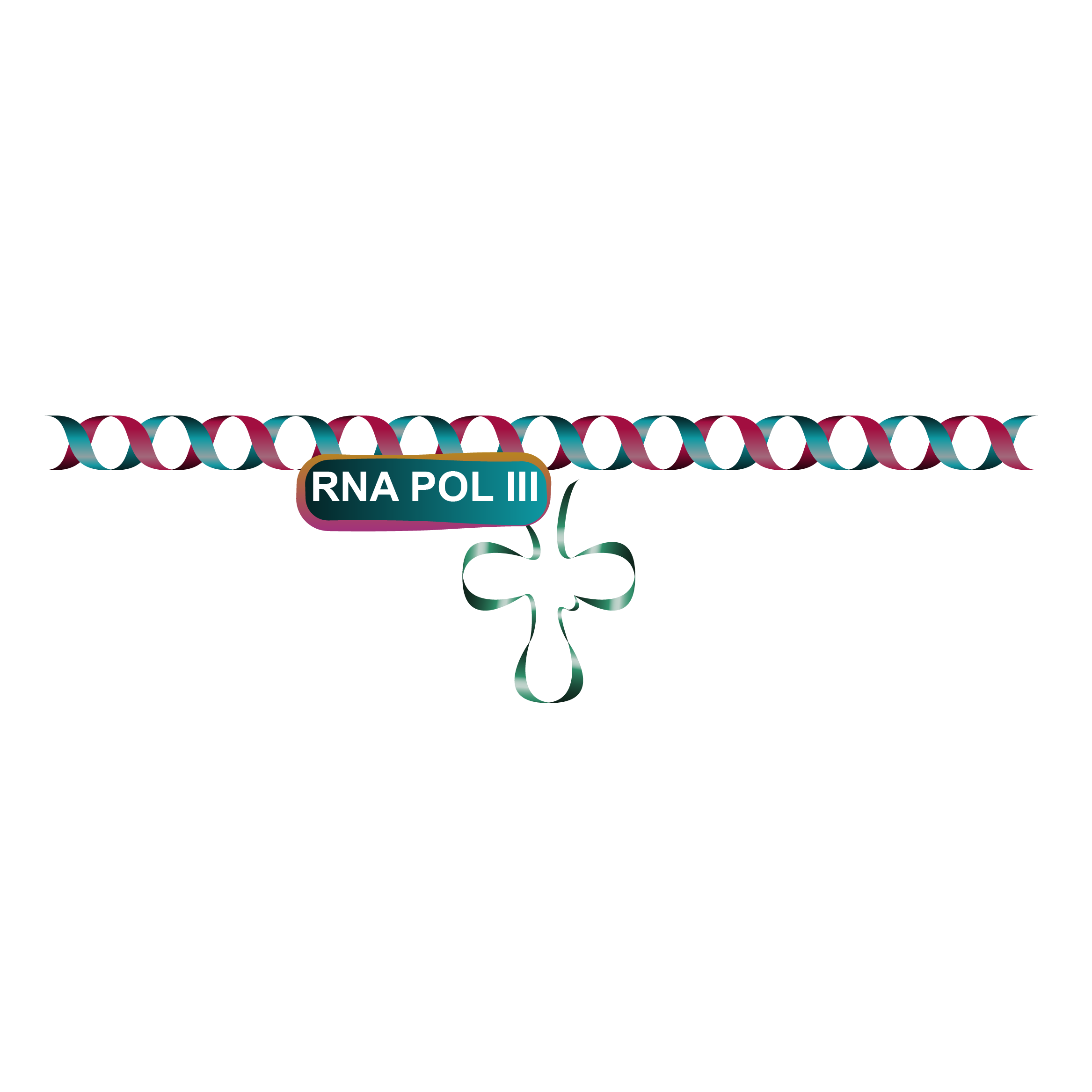 DNA、RNA